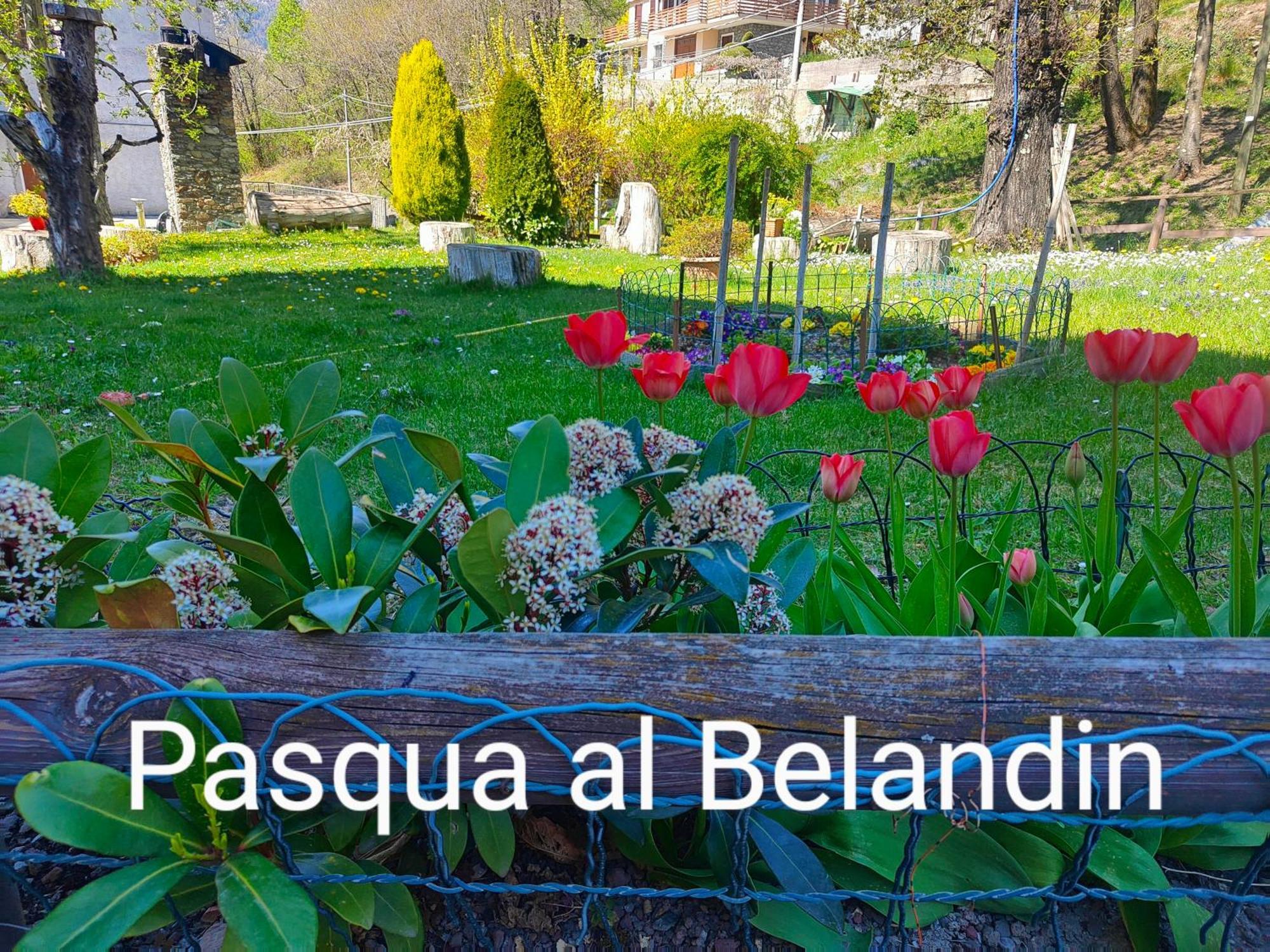 Belandin Ristorante Hotel Teglio Luaran gambar